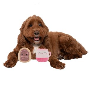 2-Pack Squeaky Plush Dog Toy (Cafe – Emily & Deja)