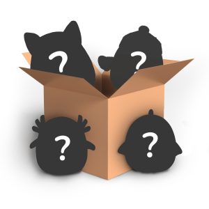 Mystery Box 4 Pack – 8 Inch